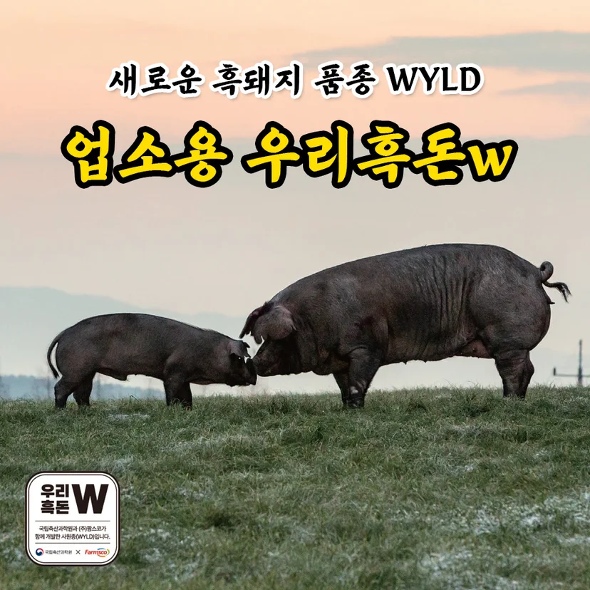온도 관리와 사후 관리를 위한 조건은 무엇인가요 전기·배수·관리 설비 위치 확인 사진