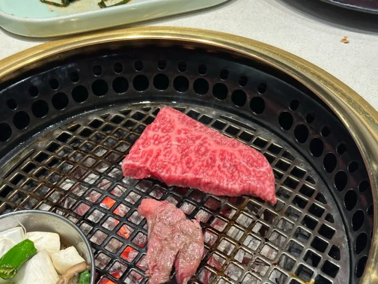 냉각 방식과 조명 기능은 고기 선도에 어떤 영향을 주나요 핵심 설치 조건과 사용 환경 확인 사진