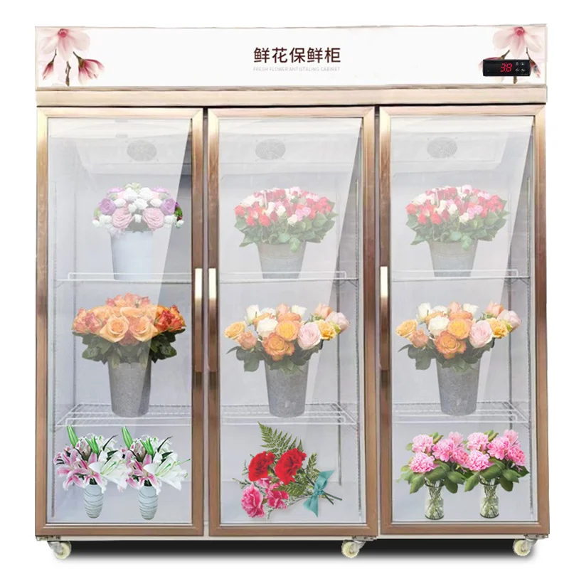 규격별 꽃냉장고 시세와 가격대는 어떻게 형성되어 있나요 전기·배수·관리 설비 위치 확인 사진