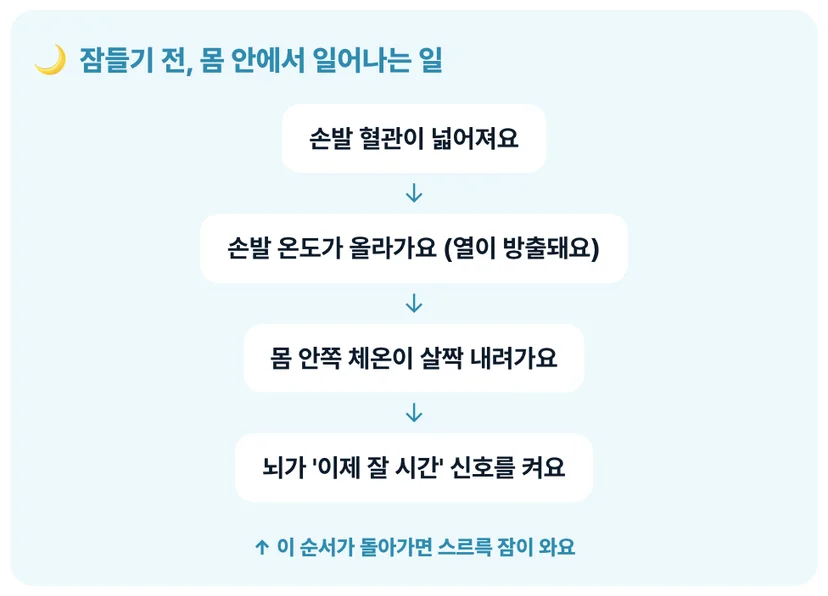 수면 전 심부체온 하강 메커니즘 순환도 체온과 수면 관계