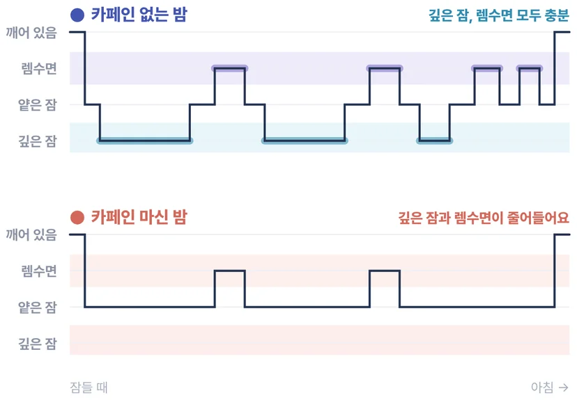 카페인이 남은 밤엔 깊은 잠(N3)과 렘수면이 줄어들어요. 커피 마셔도 잘 잔다고 느껴도 수면의 질은 떨어져요.