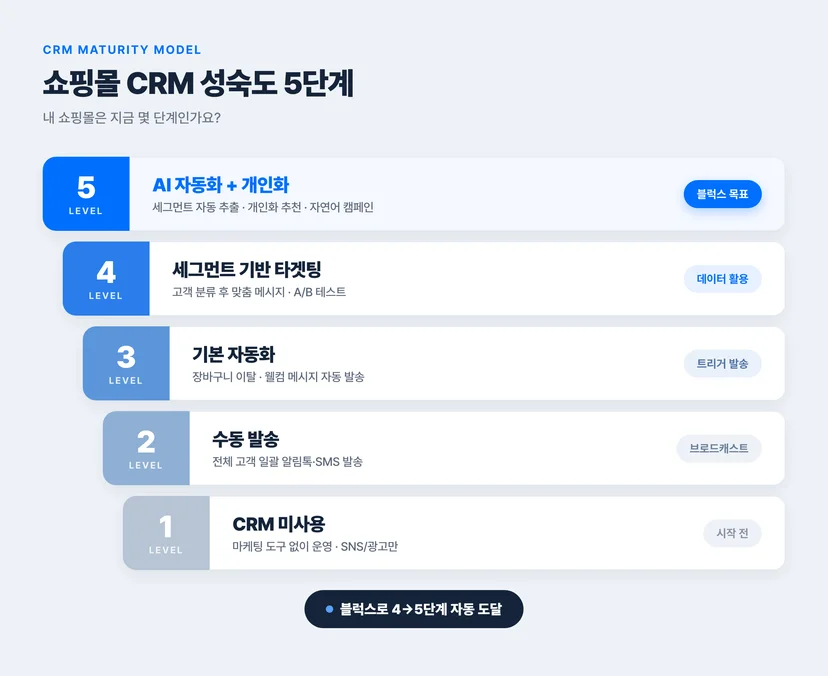 쇼핑몰 CRM 성숙도 5단계 사다리 다이어그램