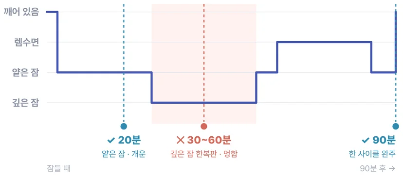 90분 수면 사이클과 낮잠 길이별 기상 지점이에요. 20분·90분은 개운하지만 30~60분은 멍해요.
