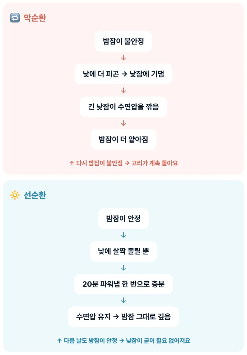 밤잠과 낮잠의 악순환·선순환이에요. 밤잠이 불안정하면 낮잠보다 밤잠부터 잡아야 해요.