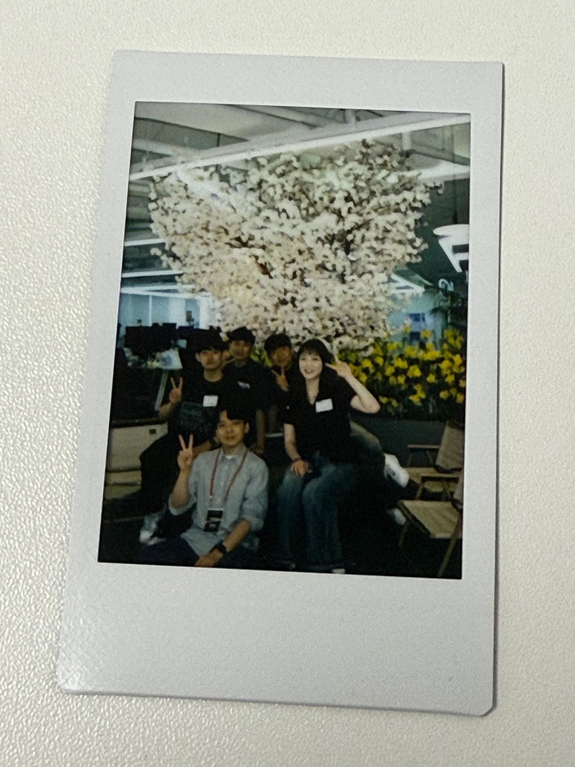 항해 플러스 프론트엔드 후기 (5기) 드디어 수료