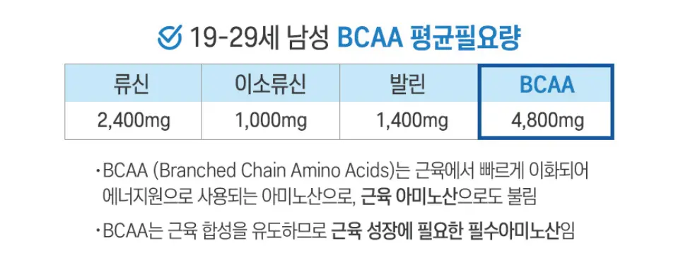 20대 남성 BCAA 평균 필요량 표