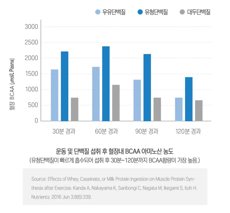 단백질별 운동 후 혈장 내 BCAA 아미노산 농도 비교 그래프