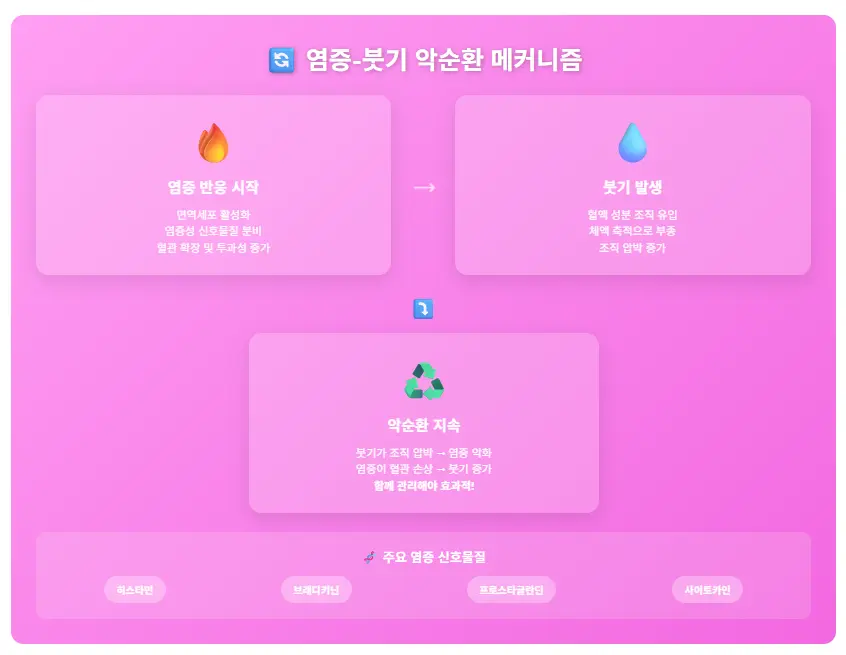 염증 반응 시작, 붓기 발생, 악순환 지속