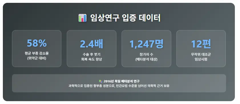 과학적으로 입증된 항부종 성분