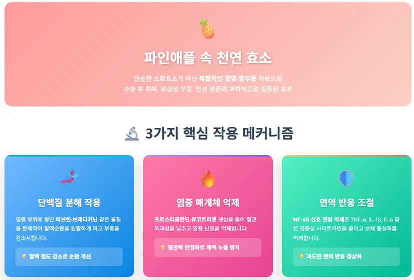 단백질 분해 작용, 염증 매개체 억제, 면역 반응 조절