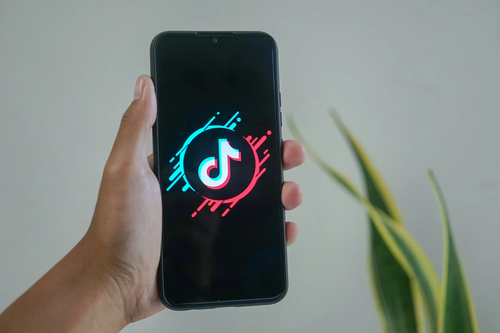 ways make money, tiktok creators reward program, make money on tiktok, tiktok agency, tiktok rewards