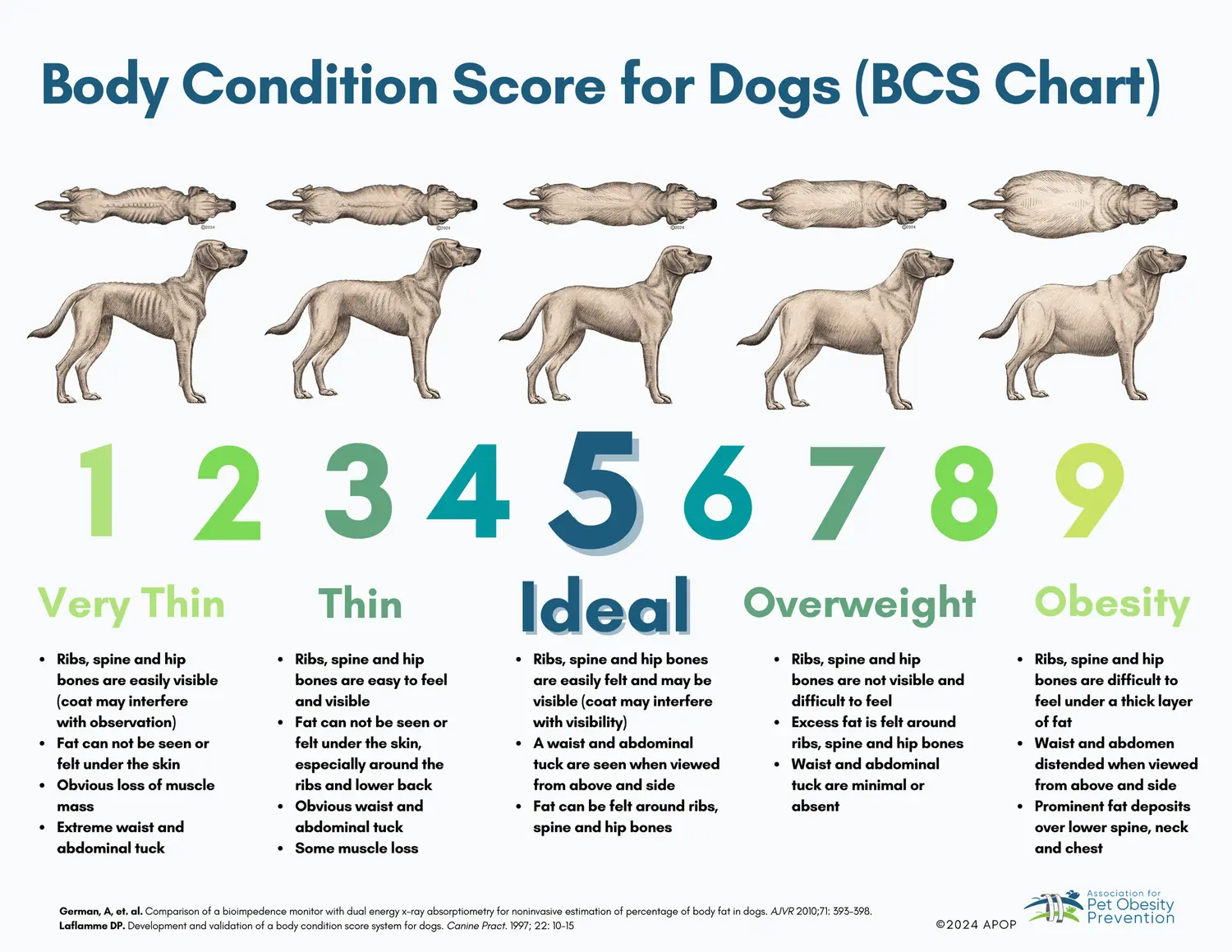 BCS chart for dog