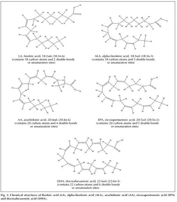 EPA (20:5n-3)와 DHA (22:6n-3)의 화학 구조 공식 이미지