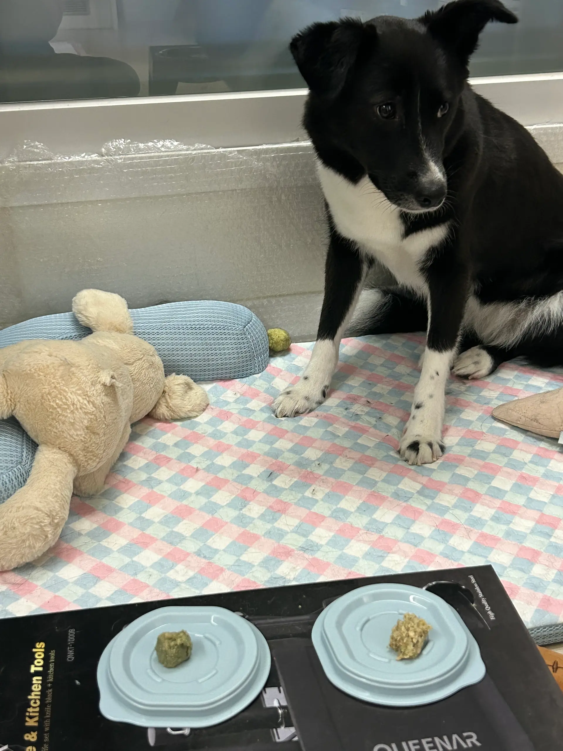 화식 첫 기호성 테스트 하던 날, 기호성 테스트도 무서운 호수