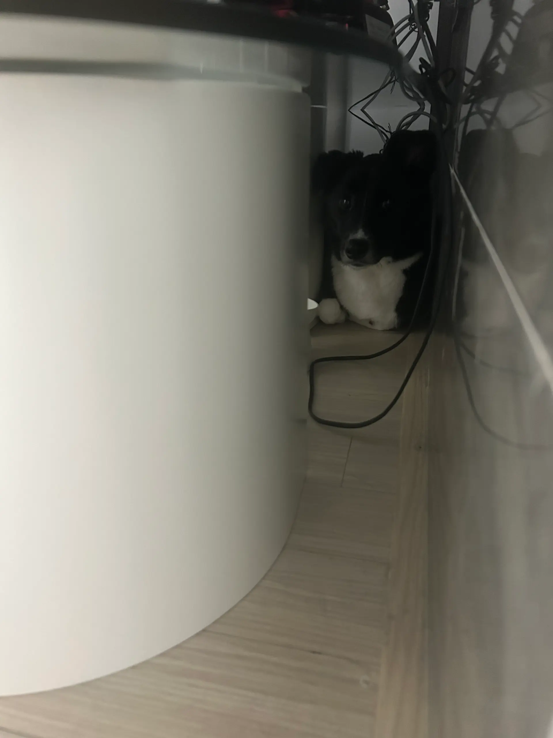 호수가 처음 오던 날, 공포에 질린 호수