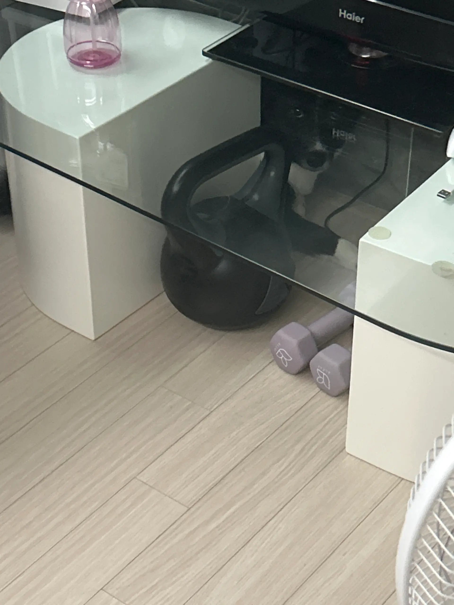 호수가 처음 오던 날, 공포에 질린 호수