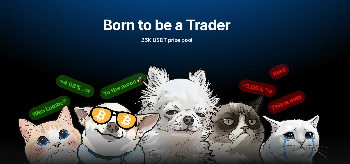 플립스터 born to be a trader 포스터