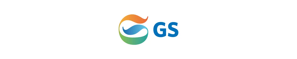 GS GROUP