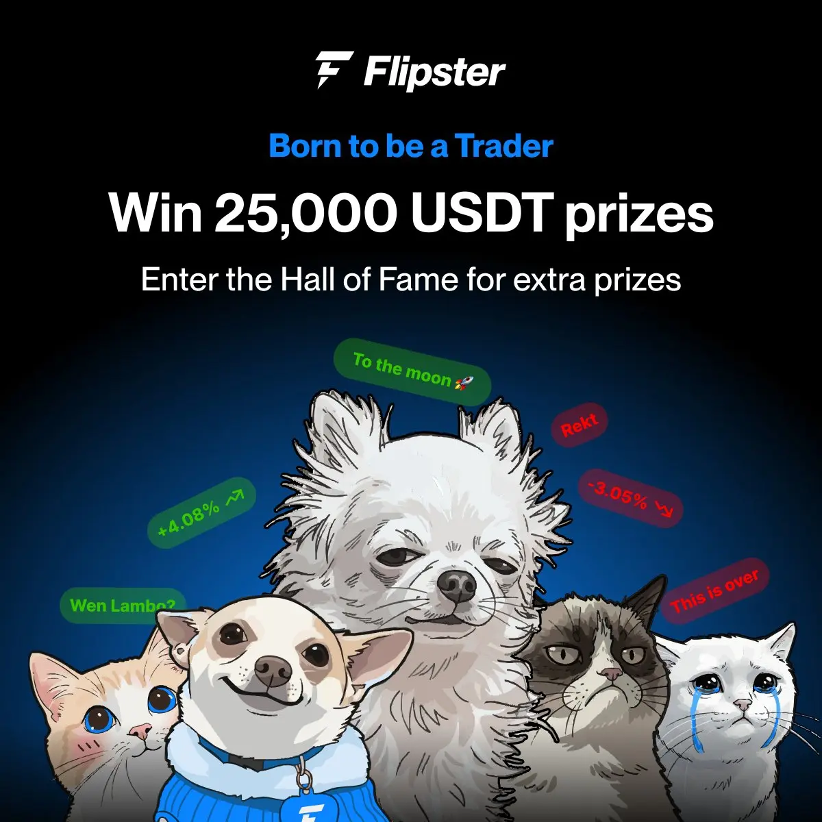 Flipster 플립스터 Born to be a Trader