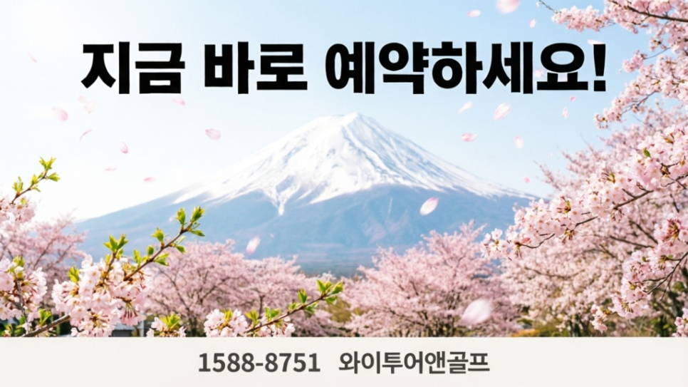 2026년 봄 시즈오카 벚꽃 여행 예약, 부산직항 4월 투어 패키지 안내