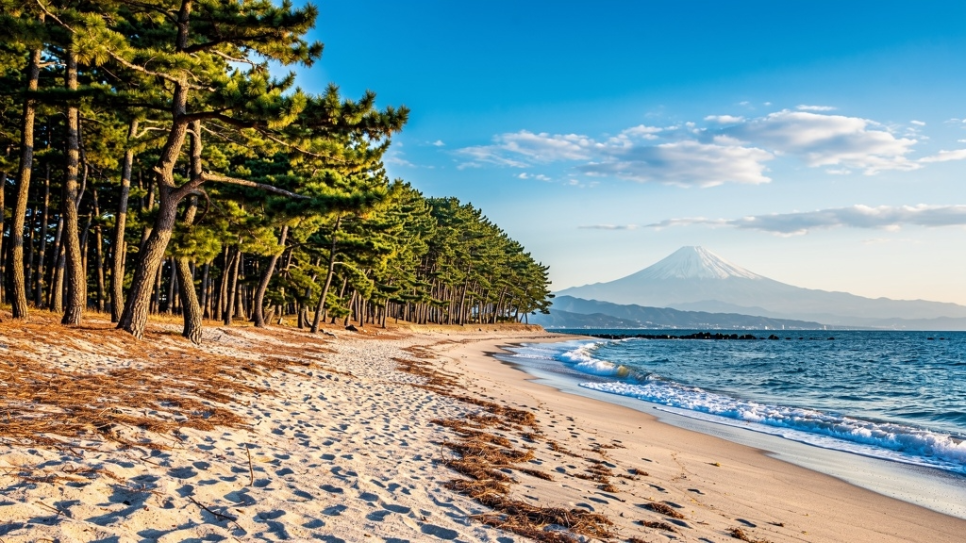 시즈오카 후지산 해변 관광지, 신선한 해산물과 자연경관이 만나는 휴양지