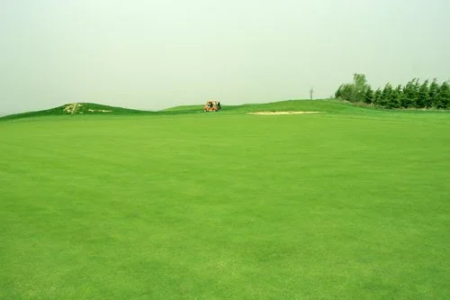 캐슬렉스CC 벙커와 수역 해저드 - 도전적인 코스 난이도