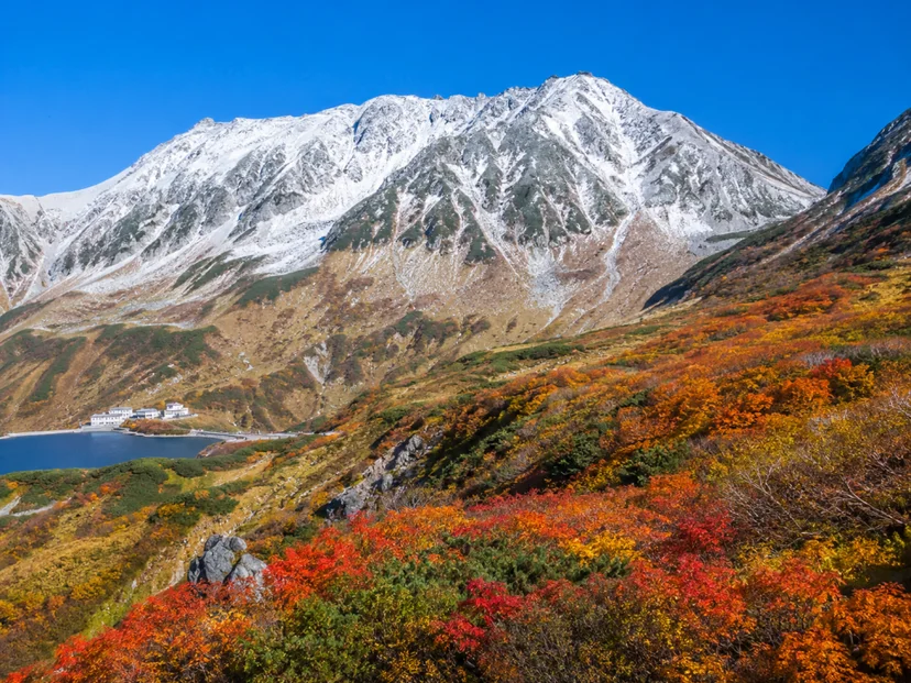 카미코지 단풍 여행, 신이 내린 절경 알펜 호수의 10월 붉은 단풍 명소