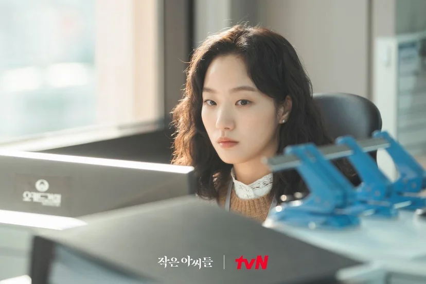 작은 아씨들, 김고은, 회계