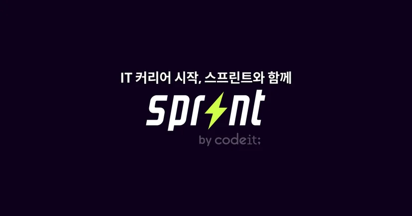 압도적 만족도 부트캠프, 코드잇 스프린트