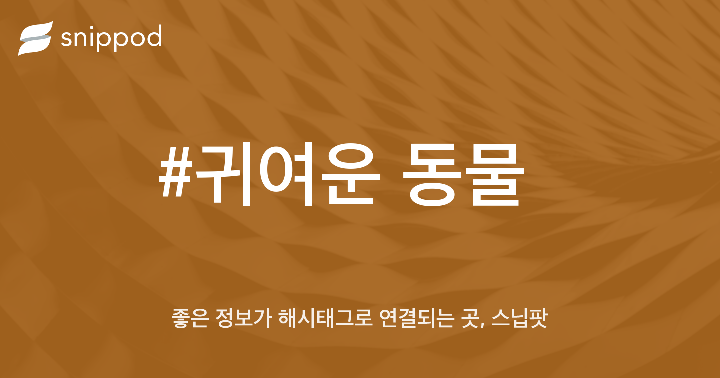 #귀여운 동물 | Snippod