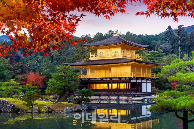 "간사이 맞춤형 투어"…요모, 프라이빗 투어 서비스 출시