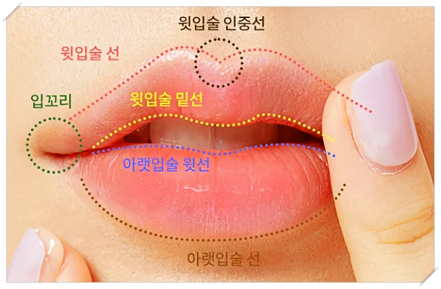 입술 형태와 볼륨 변화를 비교하는 장면