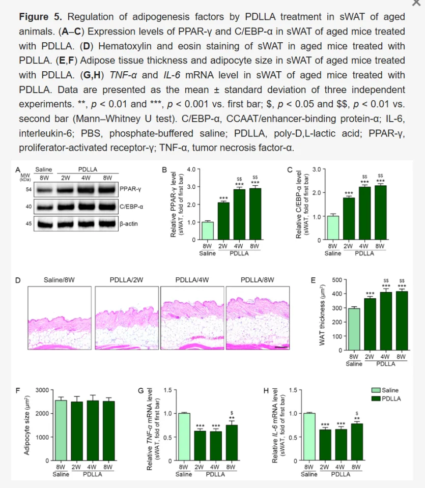 쥬베룩볼륨의 PDLLA 주입 후 변화 논문 데이터