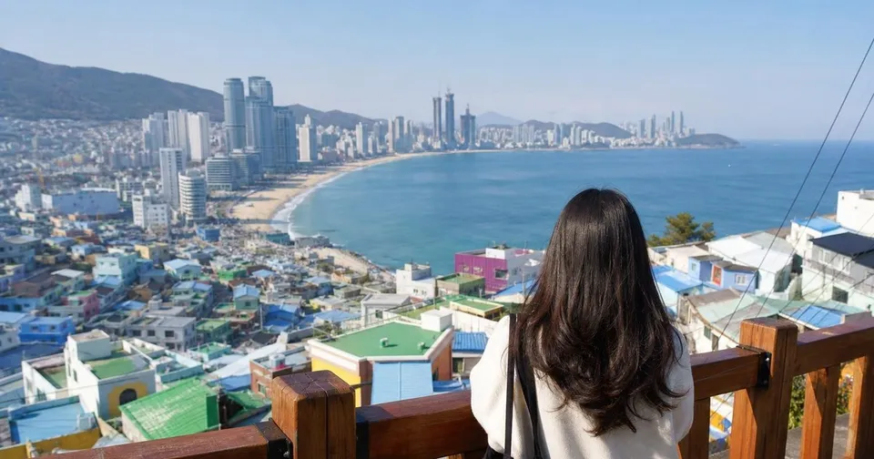 Traveler looking over a Busan coastal viewpoint with city, beach, and hillside neighborhood context.
