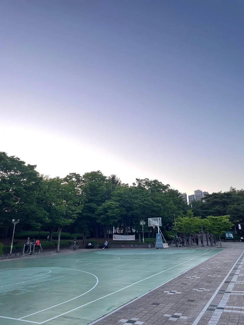 Neighbourhood park at dusk with an outdoor basketball court and tall trees (Listing ID : 17562)