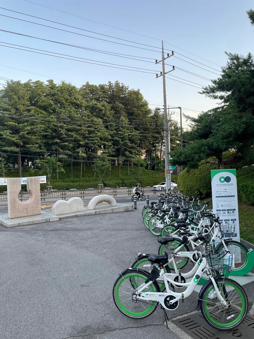 Public bike share rack at the park entrance, lined with green and white bicycles (Listing ID : 17562)