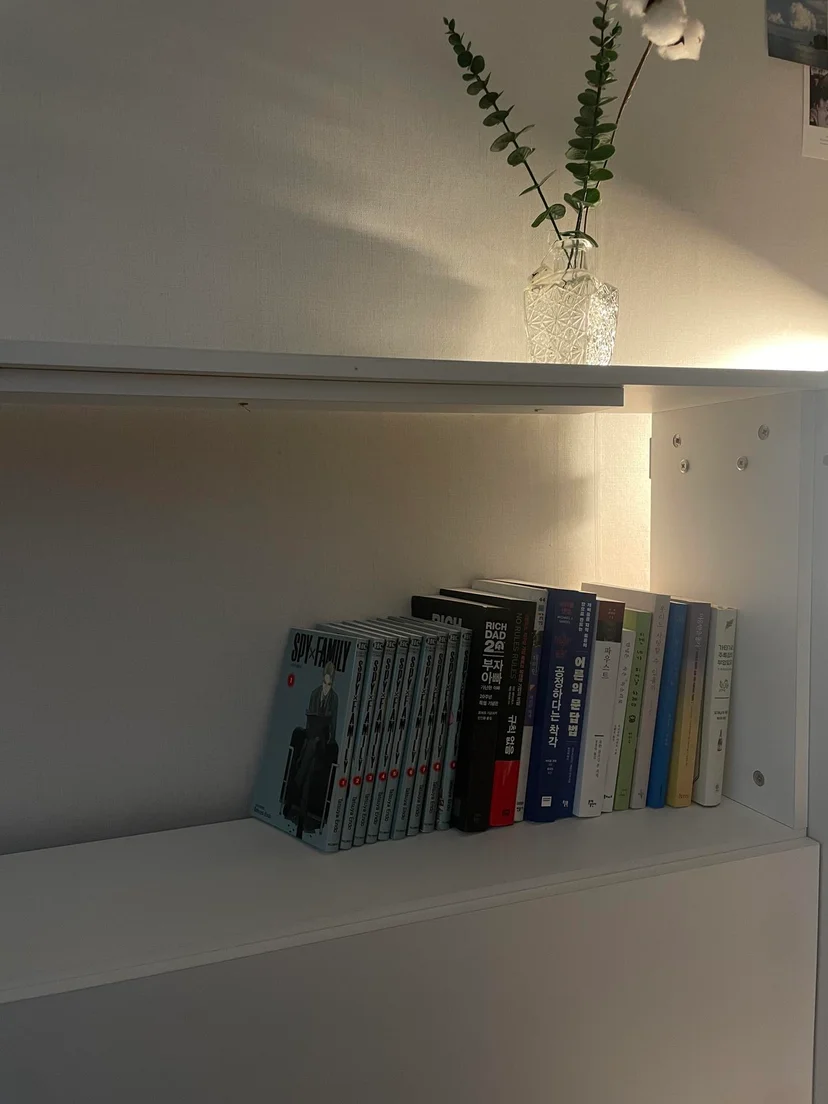 Headboard shelf with books and a eucalyptus vase (Listing ID : 22604)