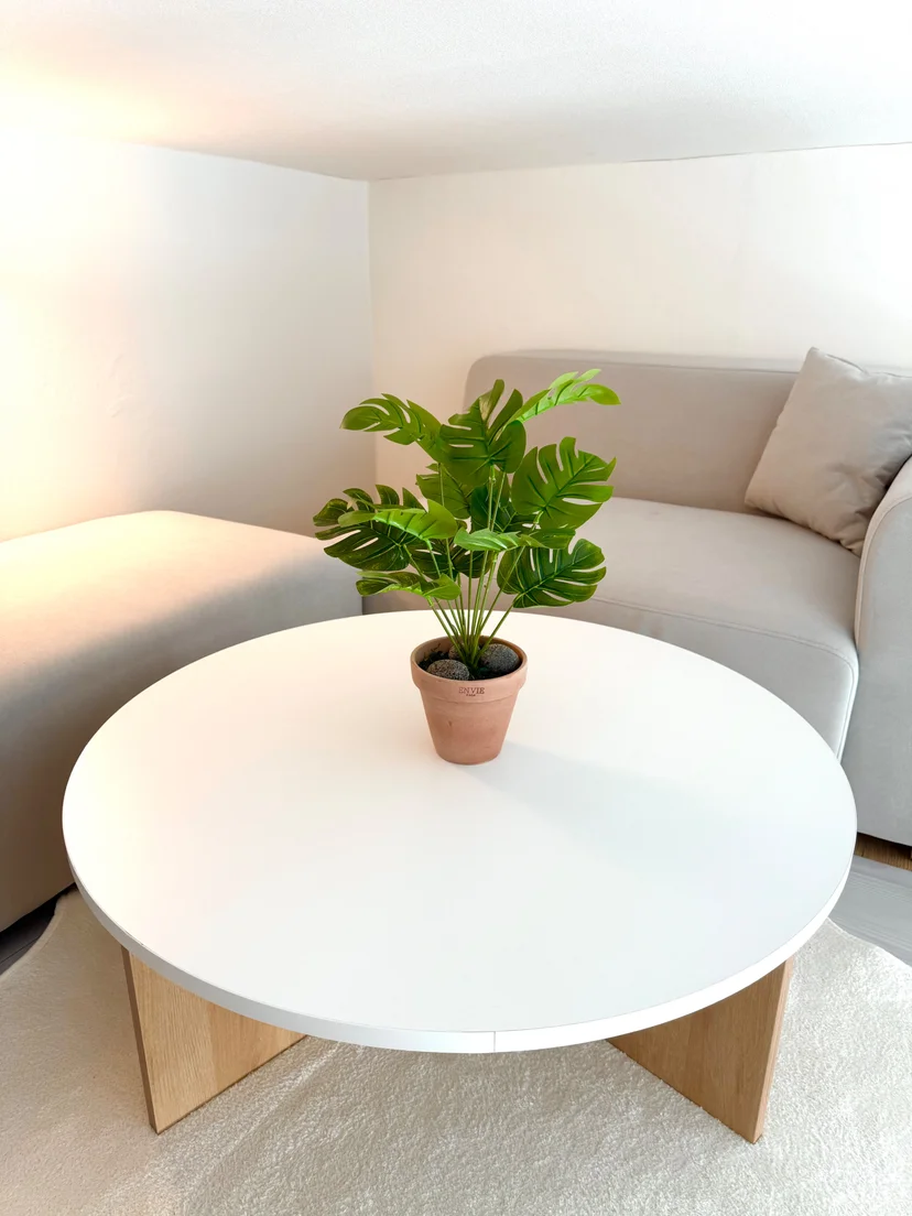 Gray corner sofa beside a round white table with a potted plant (Listing ID : 30632)