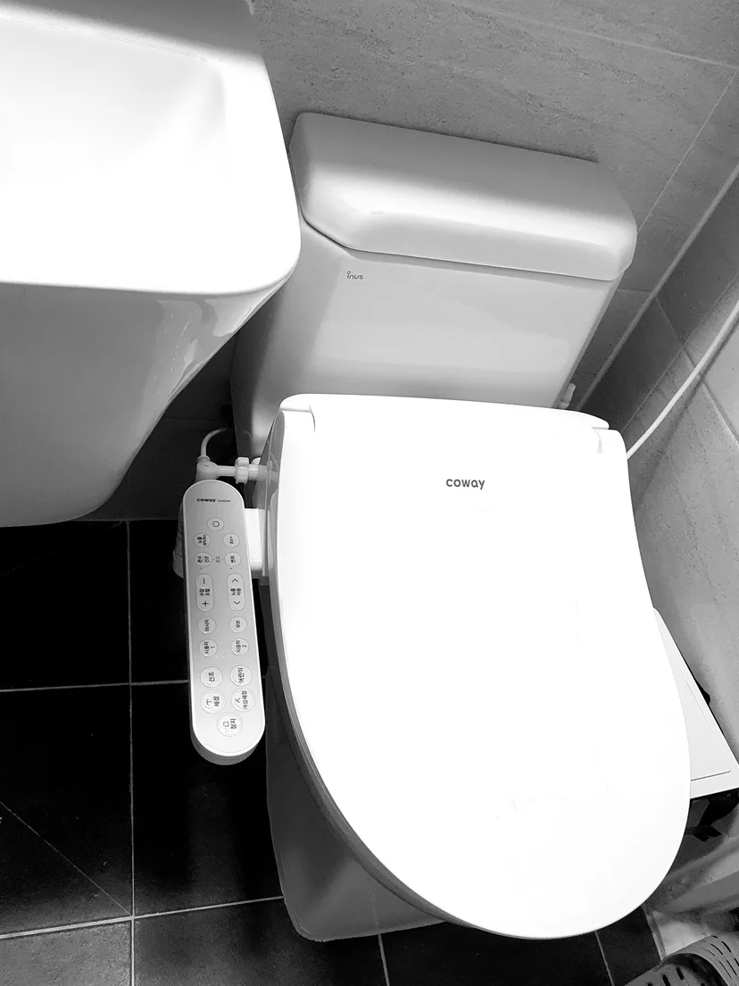 가로수와 아파트 단지 외관