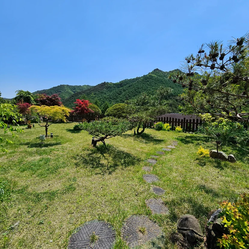마당 정원 산책로