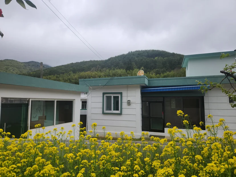 거제 단독주택 외관 — 유채꽃밭 너머 보이는 흰 단층 시골집