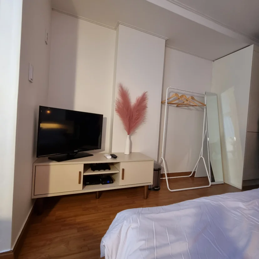 TV stand, full-length mirror, and a clothes rack in the studio (Listing ID : 15851)