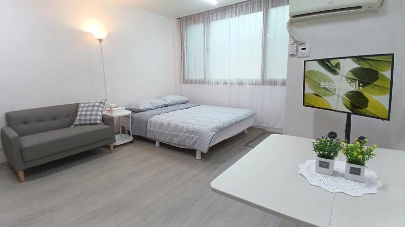 Bright studio with a bed, sofa, TV, and dining table by a large window (Listing ID : 28802)