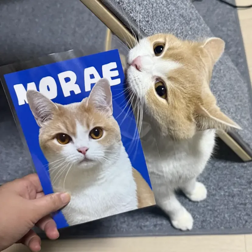 1장부터 주문 가능한 커스텀 엽서-굿즈 제작 전문가 마플