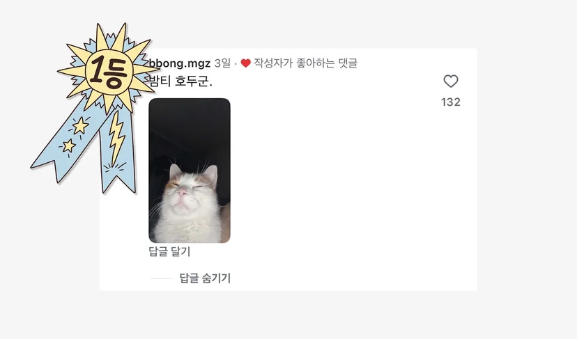 마플 밤티 멍냥이 선발대회 – 고양이 호두 사진이 포함된 댓글이 좋아요 1등으로 선정된 이벤트 결과 이미지