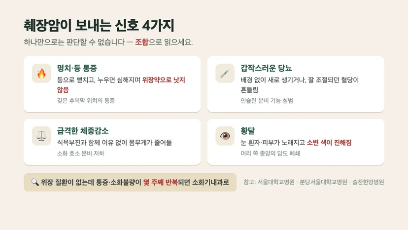 췌장암이 보내는 신호 4가지 — 명치·등 통증, 갑작스러운 당뇨, 급격한 체중감소, 황달