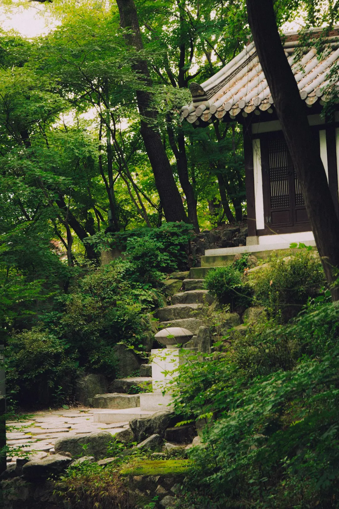 Temple Stay in Korea: What to Expect & How to Book