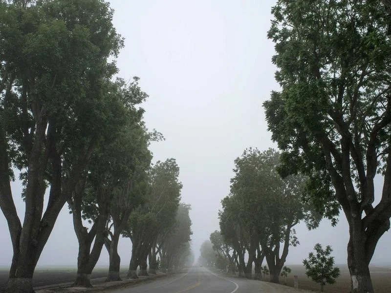 반찬용냉장쇼케이스업체추천 - 전문가의_안전한_설치_과정