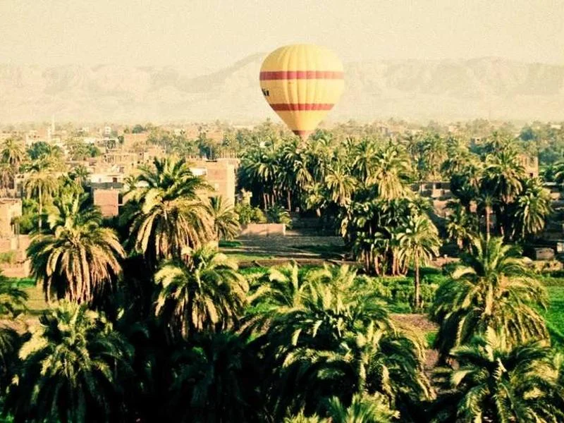 냉장용진열장제품 - 매장 분위기를 살리는 진열장