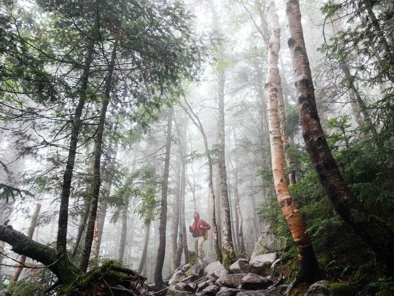 냉장용뒷문쇼케이스견적문의 - 결로_방지_페어유리_확인